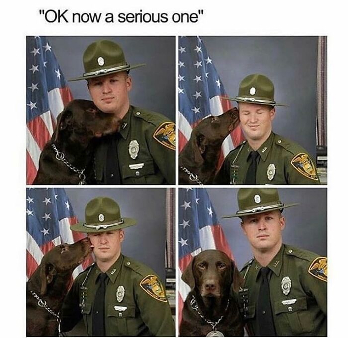 Wait Till You See These Hilarious Dog Memes That Nail Just How Weird Dogs Are