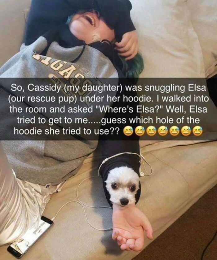 Wait Till You See These Hilarious Dog Memes That Nail Just How Weird Dogs Are