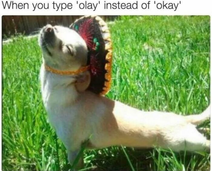 Wait Till You See These Hilarious Dog Memes That Nail Just How Weird Dogs Are