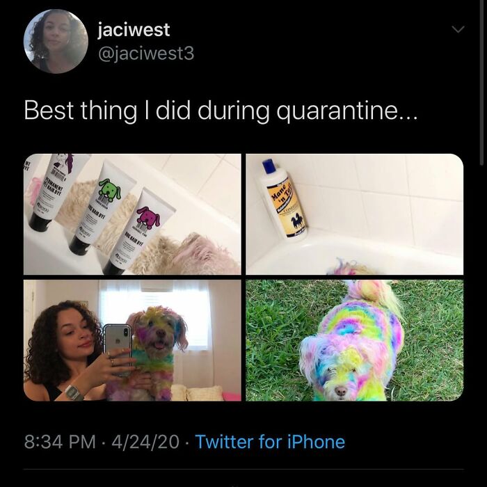 Wait Till You See These Hilarious Dog Memes That Nail Just How Weird Dogs Are