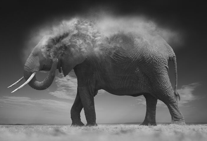From Dust to Dust