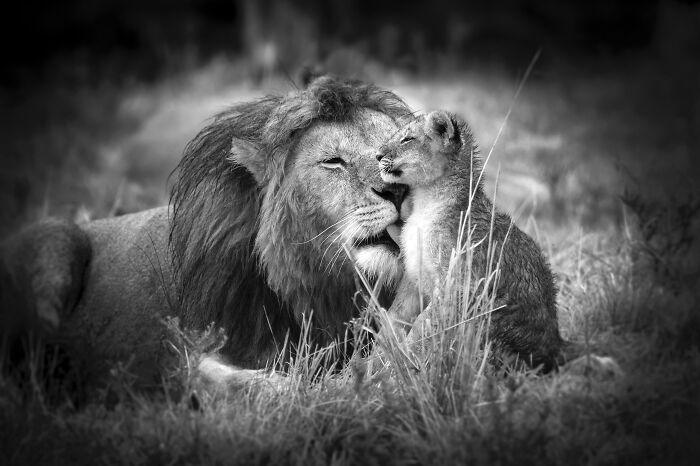 Father-Son Moment