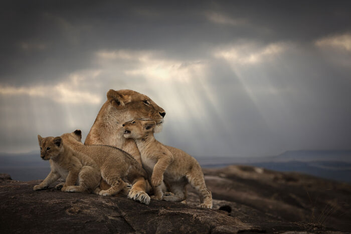 Mother Love