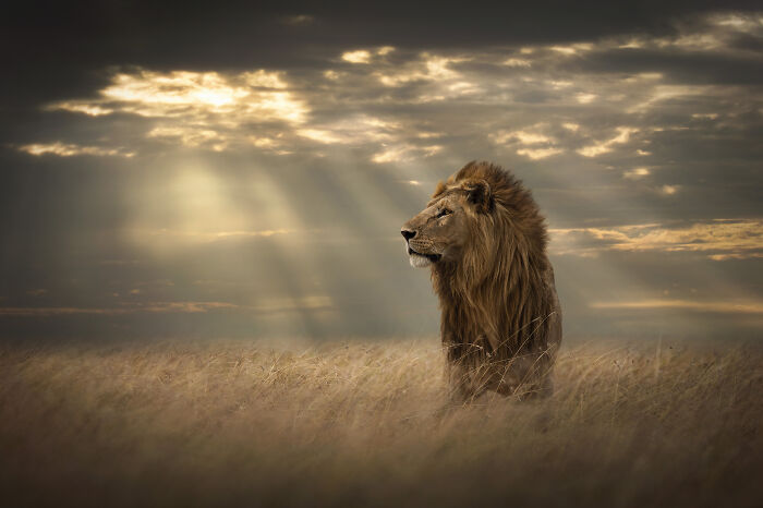 Lord of Everything
