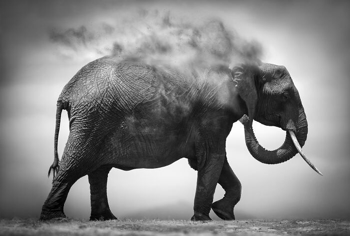 Dusty Days