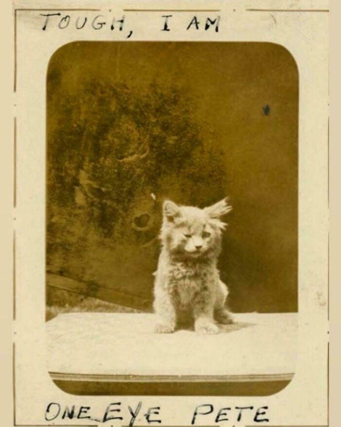 One-Eye Pete: The Toughest Guy in 1890 California