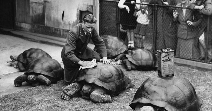 Time Traveling Through 77 Old Photos That Make You Go, "Whoa, People Were Like That?!"