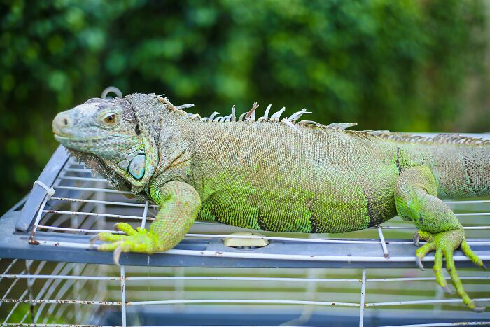 Wait, People Actually Keep These Weird Things at Home?!