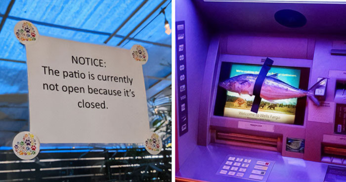 Let’s Rank Some Hilarious Internet Posts That Totally Made Our Day
