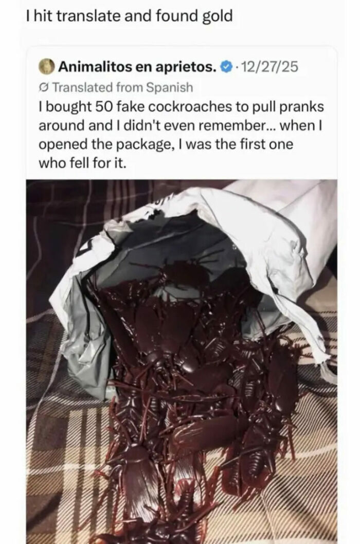 Let's Rank Some Hilarious Internet Posts That Totally Made Our Day