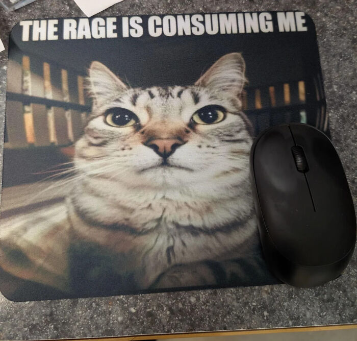Let's Rank Some Hilarious Internet Posts That Totally Made Our Day