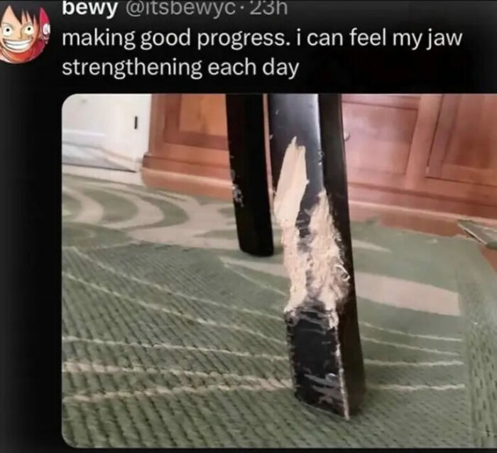 Let's Rank Some Hilarious Internet Posts That Totally Made Our Day