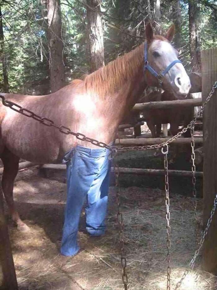 Let's Rank Some Hilarious Internet Posts That Totally Made Our Day