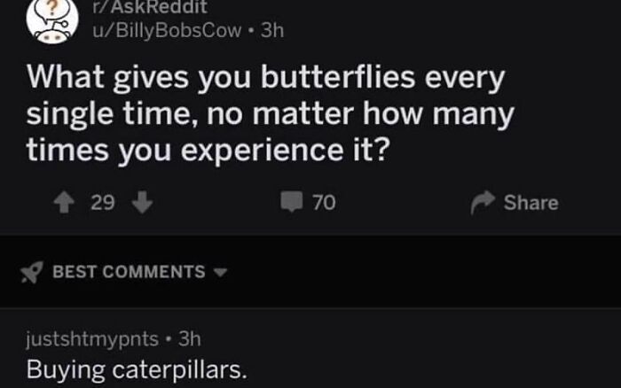 40 Hilarious Comments That Prove Internet Users Are Comedy Gold