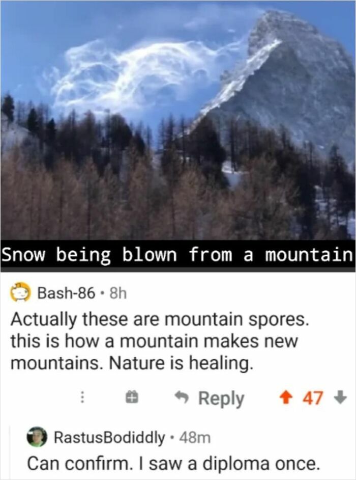 40 Hilarious Comments That Prove Internet Users Are Comedy Gold