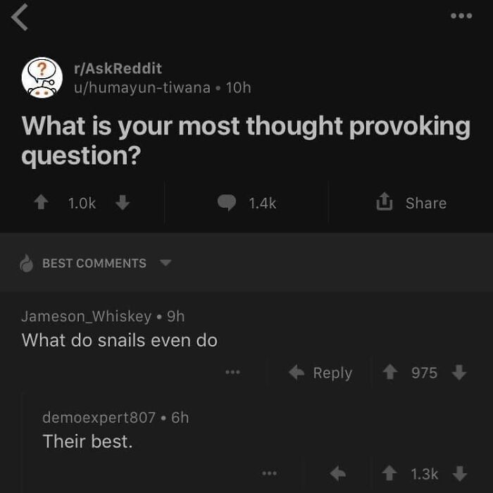 40 Hilarious Comments That Prove Internet Users Are Comedy Gold