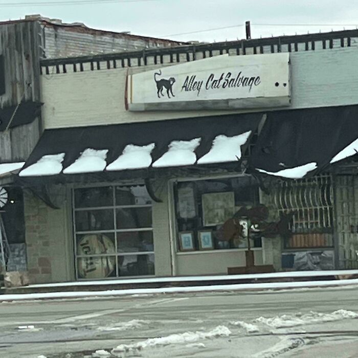 Snow Took The Shape Of A Cat Outside A Cat-Themed Store