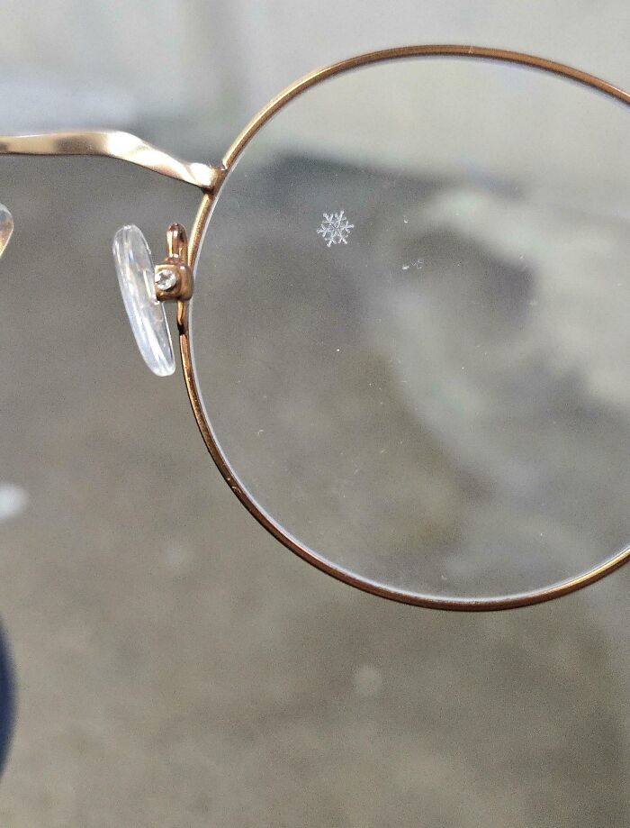 A Lone Snowflake Perfectly Parked On My Glasses (No Parking Ticket Needed)