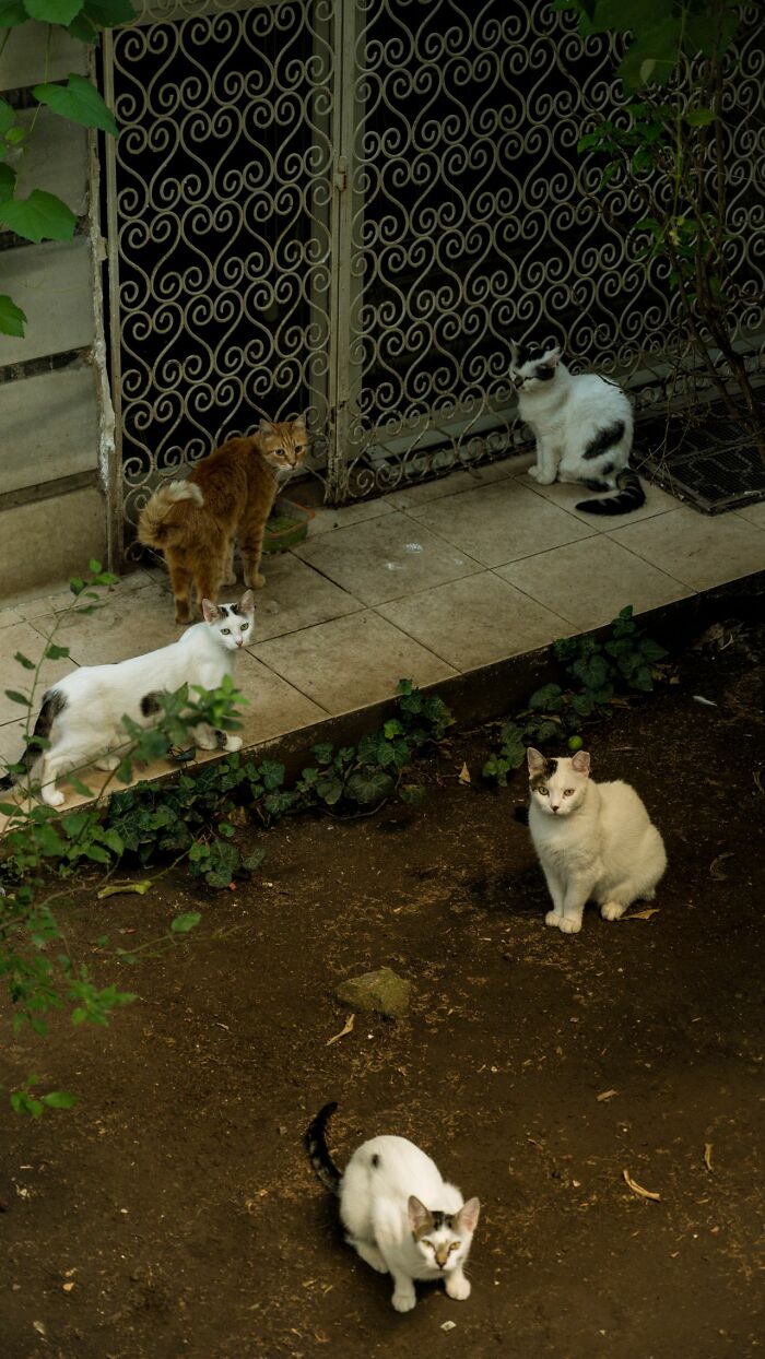 The 40 Craziest Post-Breakup Moves That Are Just Next-Level Petty