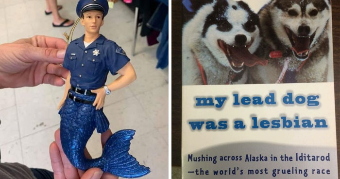 Wait, People Actually Buy This Stuff?! Wildest Thrift Store Finds Ever
