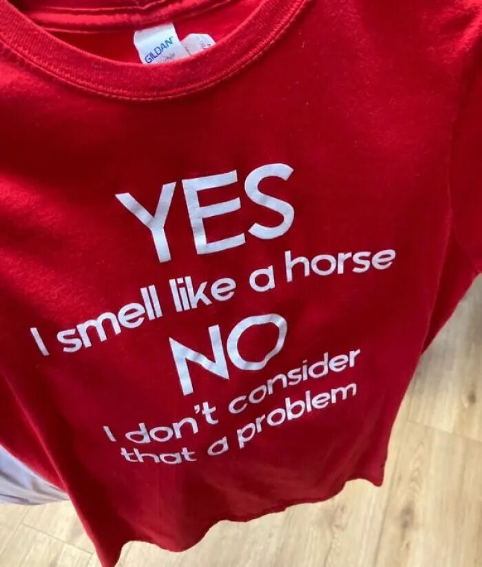 Wait, People Actually Buy This Stuff?! Wildest Thrift Store Finds Ever