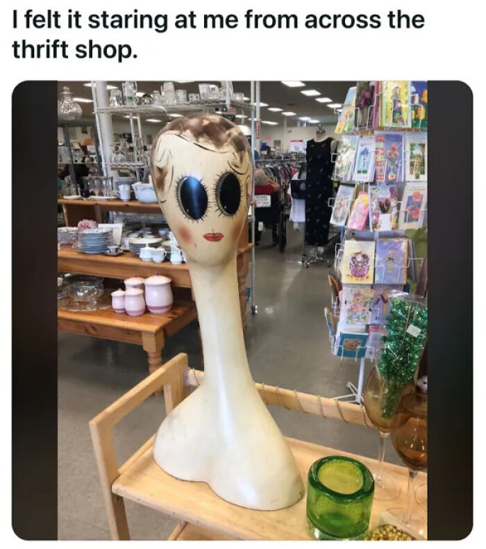 Wait, People Actually Buy This Stuff?! Wildest Thrift Store Finds Ever
