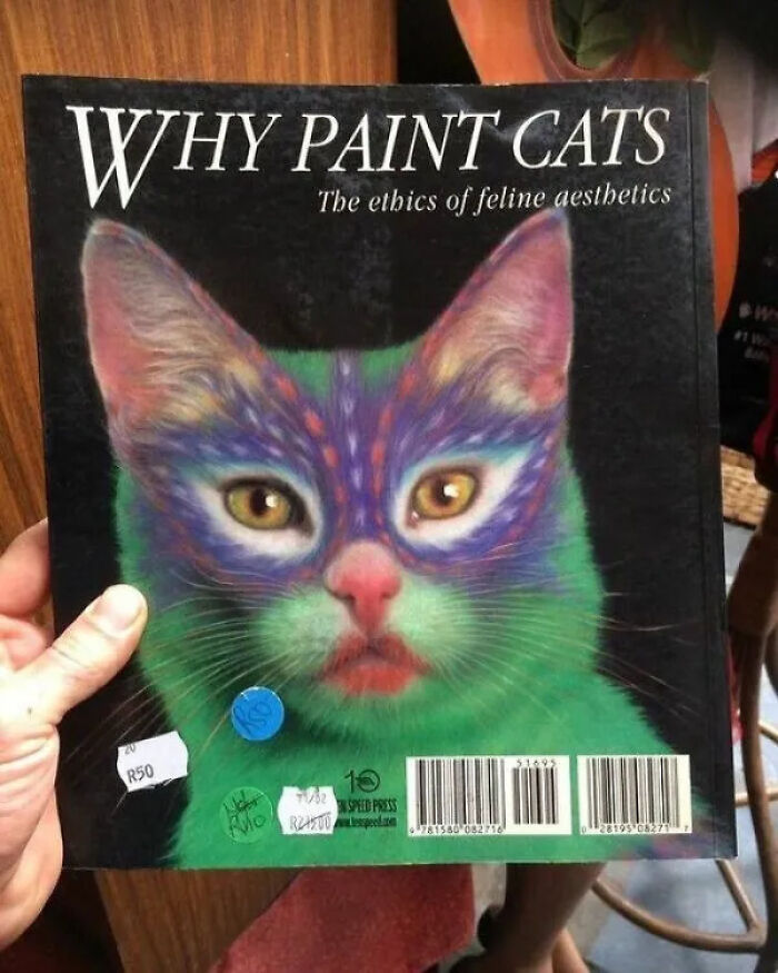 Wait, People Actually Buy This Stuff?! Wildest Thrift Store Finds Ever