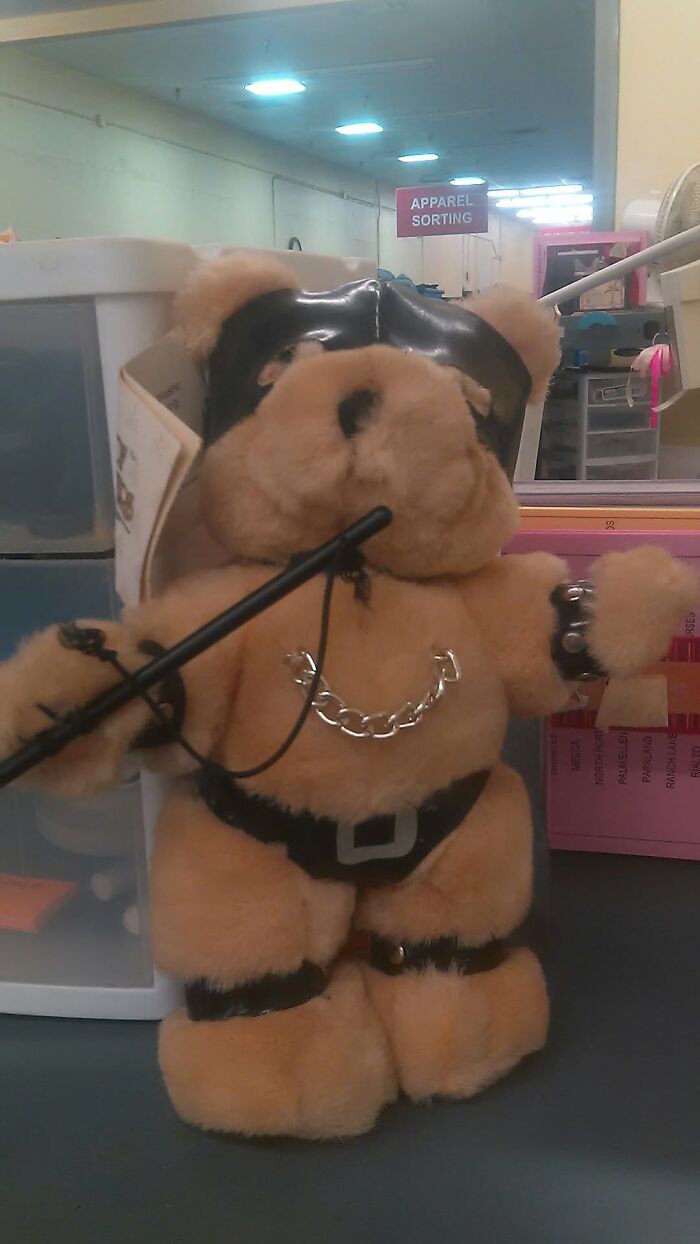 Wait, People Actually Buy This Stuff?! Wildest Thrift Store Finds Ever
