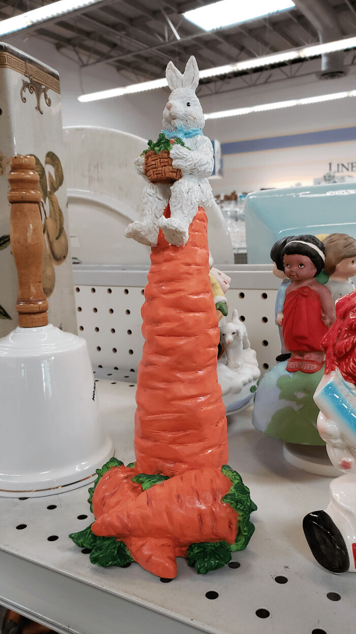 Wait, People Actually Buy This Stuff?! Wildest Thrift Store Finds Ever