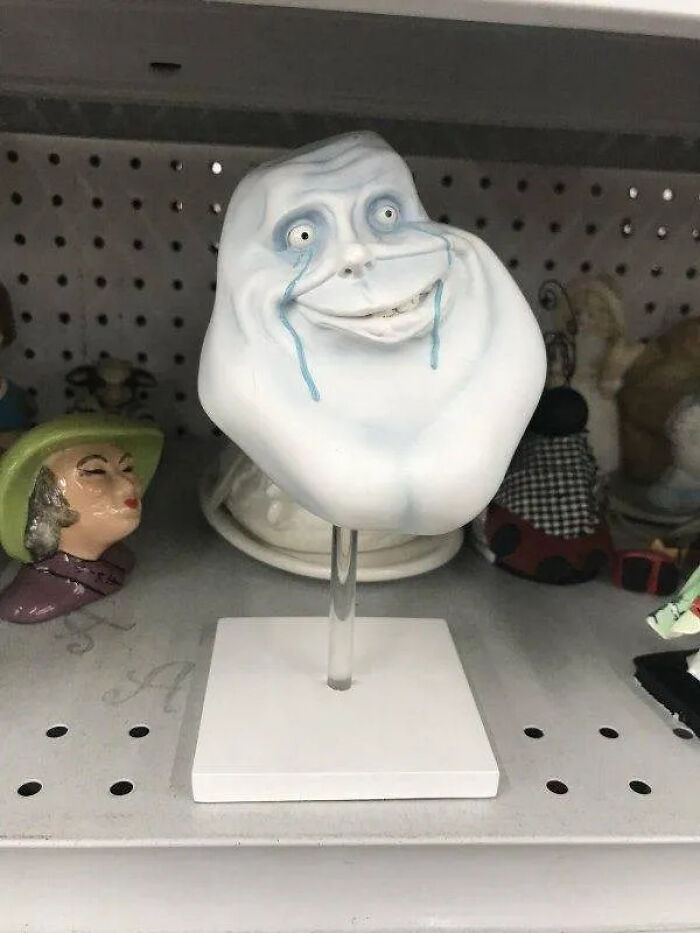 Wait, People Actually Buy This Stuff?! Wildest Thrift Store Finds Ever