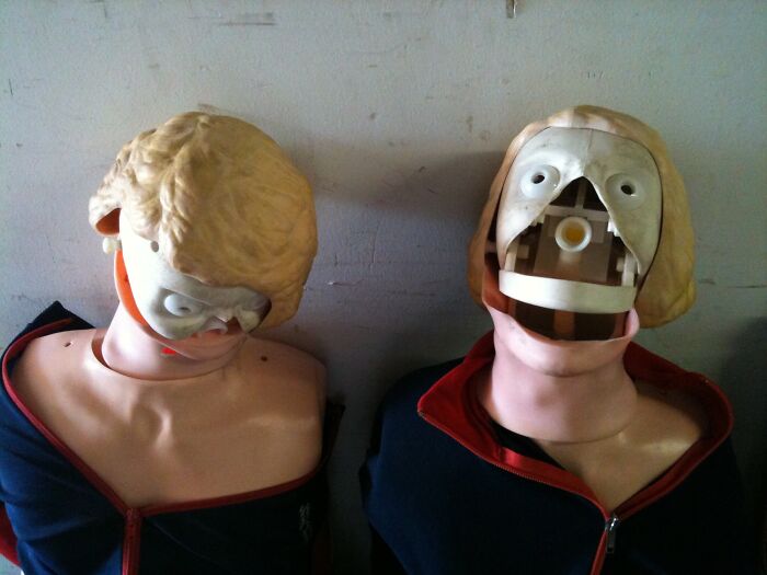 Wait, People Actually Buy This Stuff?! Wildest Thrift Store Finds Ever