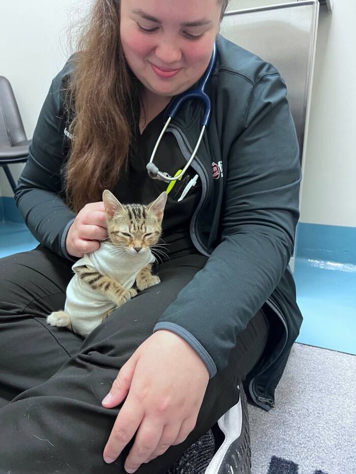 Wait Till You See How These Cats Totally Owned Their Vet Visits!