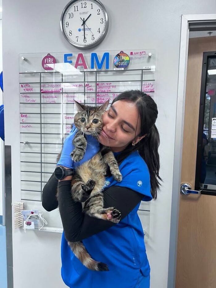 Wait Till You See How These Cats Totally Owned Their Vet Visits!