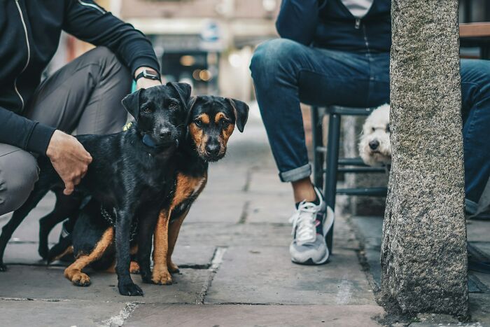 Wait, These 48 Americans Moved to Europe and Spilled the Wildest Culture Shocks