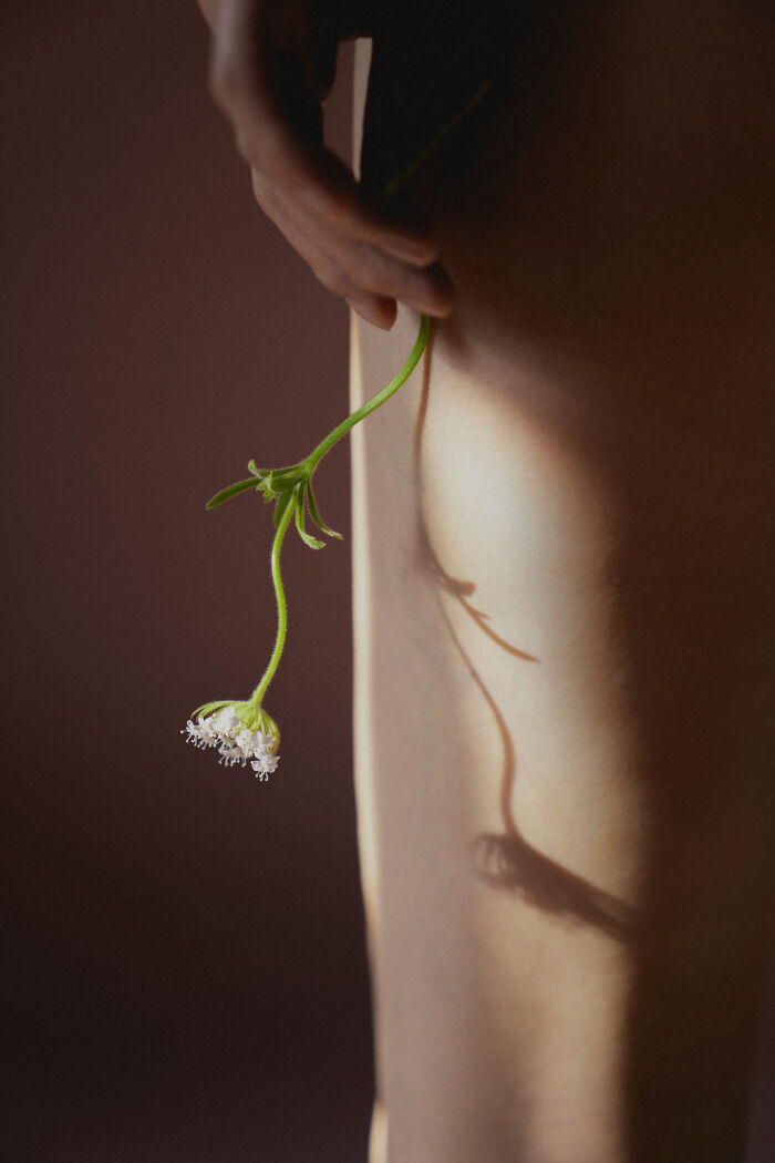 Wait, These Photos Played Tricks On Our Brains!