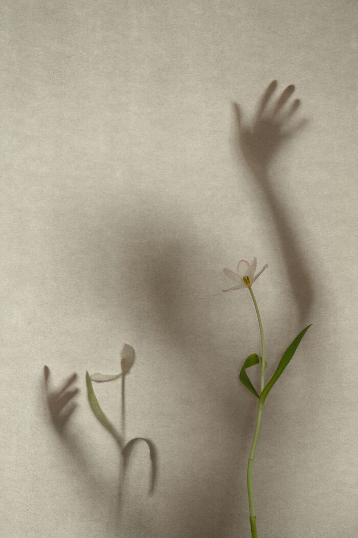 Wait, These Photos Played Tricks On Our Brains!