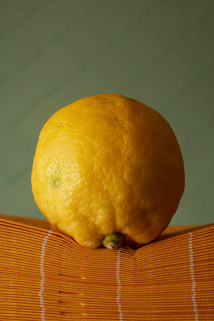 Lemon Fancy By Julia Classen & Magdalena Lepka