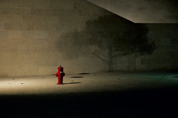 Mirror, Mirror On The Street By Francesca Pompei