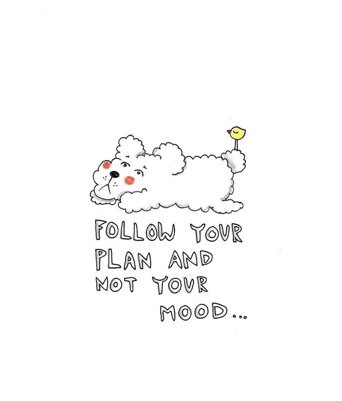 Follow Your Plan