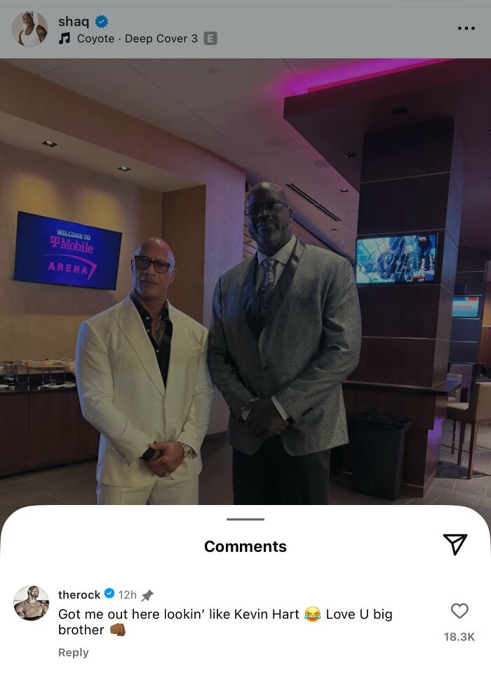 Wait, Celebs Actually Clap Back Like This? 56 Hilarious Comments That Made Our Day