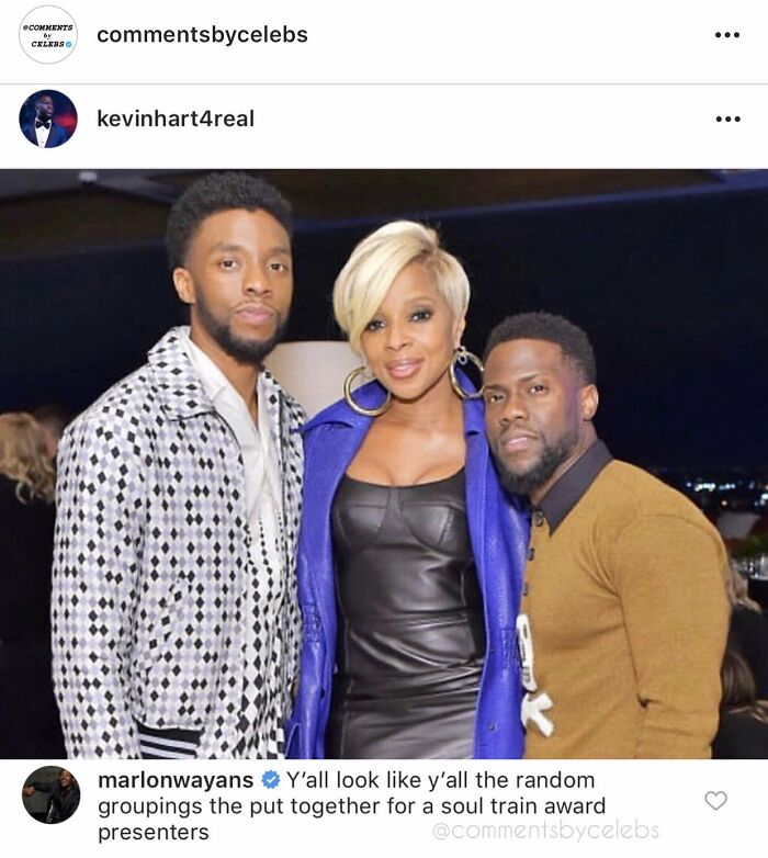 Wait, Celebs Actually Clap Back Like This? 56 Hilarious Comments That Made Our Day