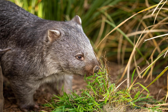 Wait, They Actually Shared These Crazy Animal Facts?!