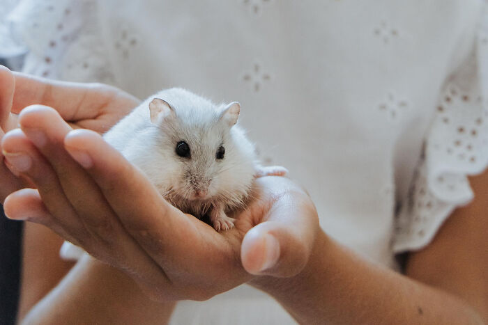 Wait, They Actually Shared These Crazy Animal Facts?!