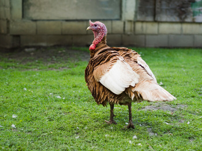 Wait, They Actually Shared These Crazy Animal Facts?!