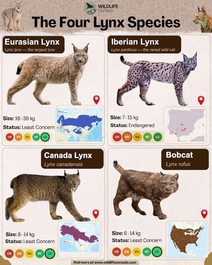 Wait, They Actually Shared These Crazy Animal Facts?!