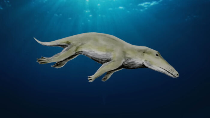 Wait, They Actually Shared These Crazy Animal Facts?!
