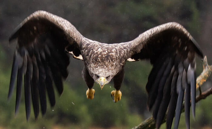 Wait, They Actually Shared These Crazy Animal Facts?!