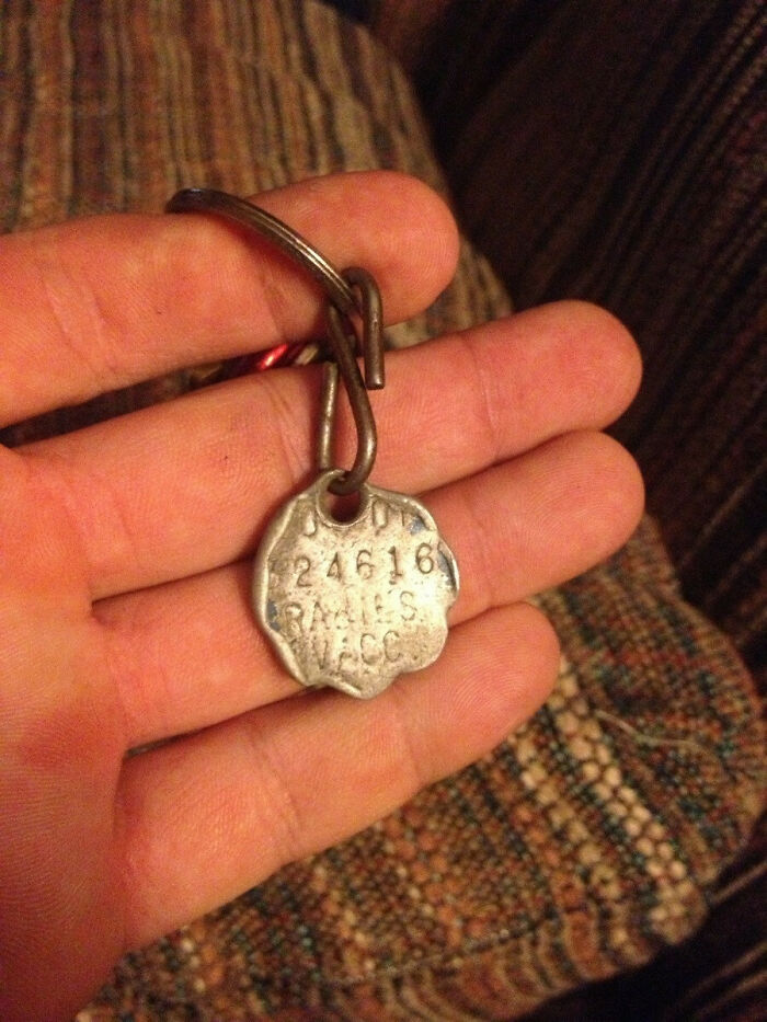Said Goodbye To My Best Bud After 13 Years. This Vaccination Tag Shows All The Tinks Against His Water Bowl