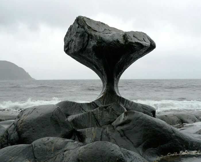 This Rock Took a Beating From Waves and Wore Down Like a Champ