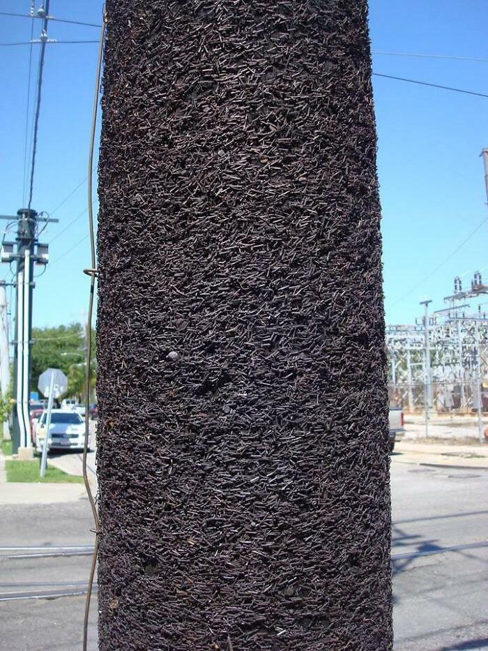 Wait Till You See These Things Totally Beat Up By Time!